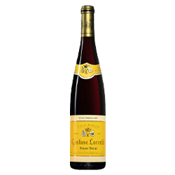 1 Pinot Noir - Cuvée Particulière 2019 - Rouge - 75cl
